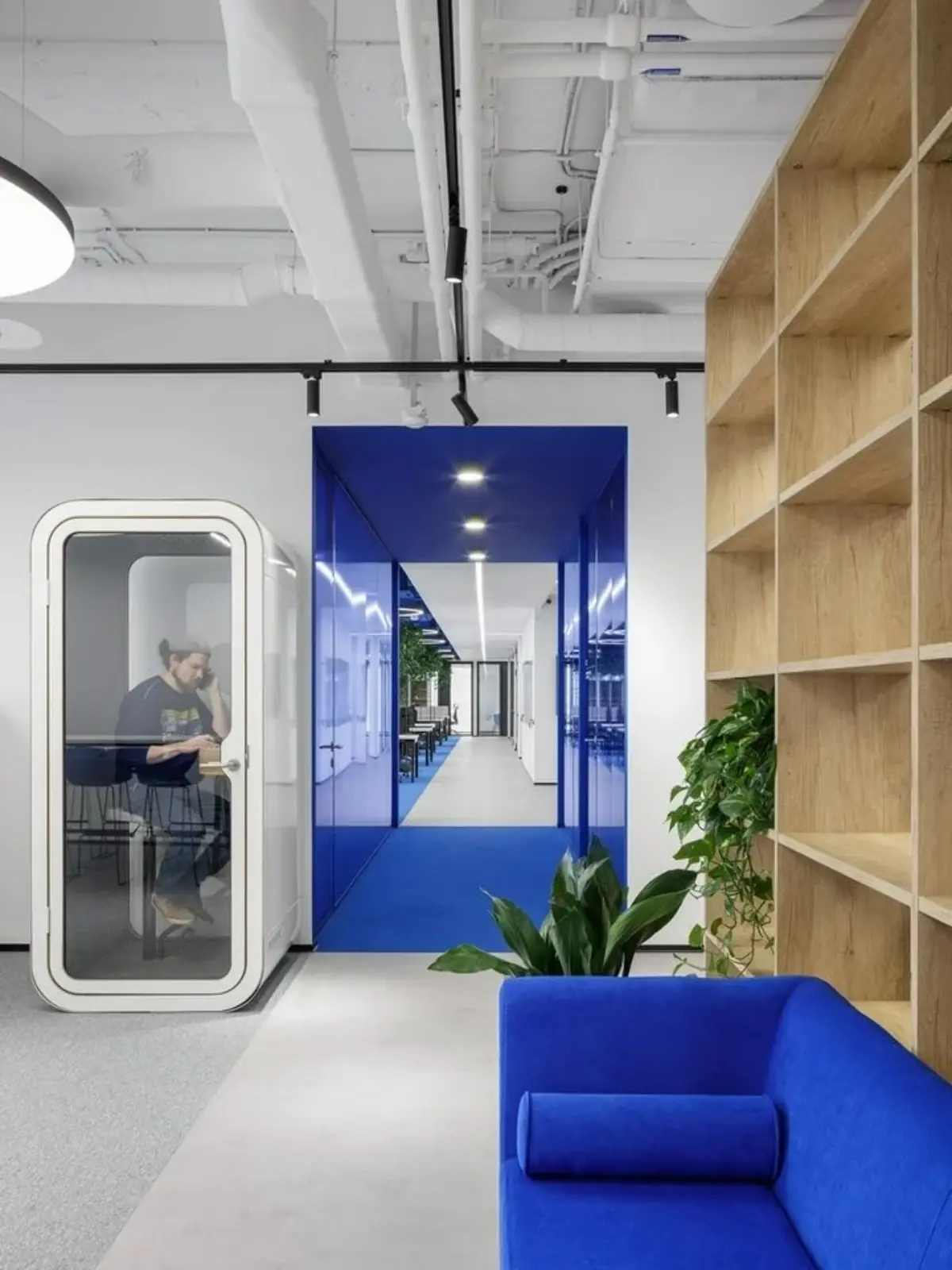 دکوراسیون اداری با مبل و کف آبی و کتابخانه چوبی و دیوار سفید