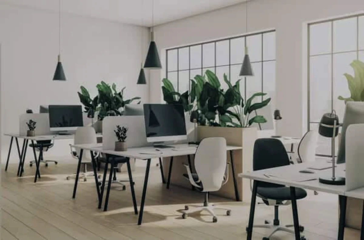 دکوراسیون اداری مدرن با صندلی چوبی ساده و گیاه سبز