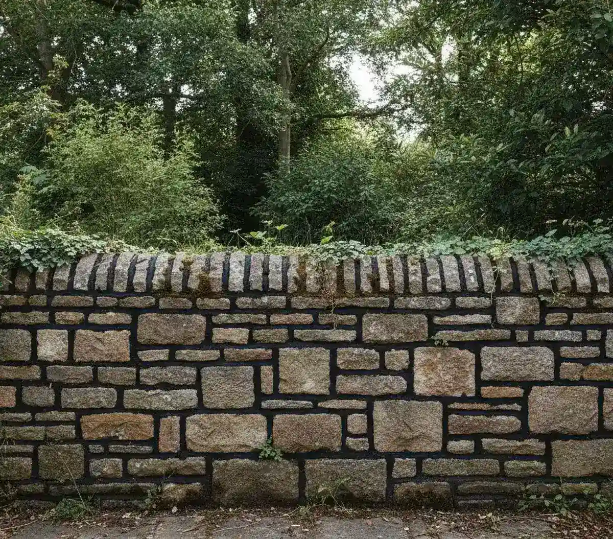 سنگ مالون کرم رنگ به کار رفته در دیوار خانهای روستایی