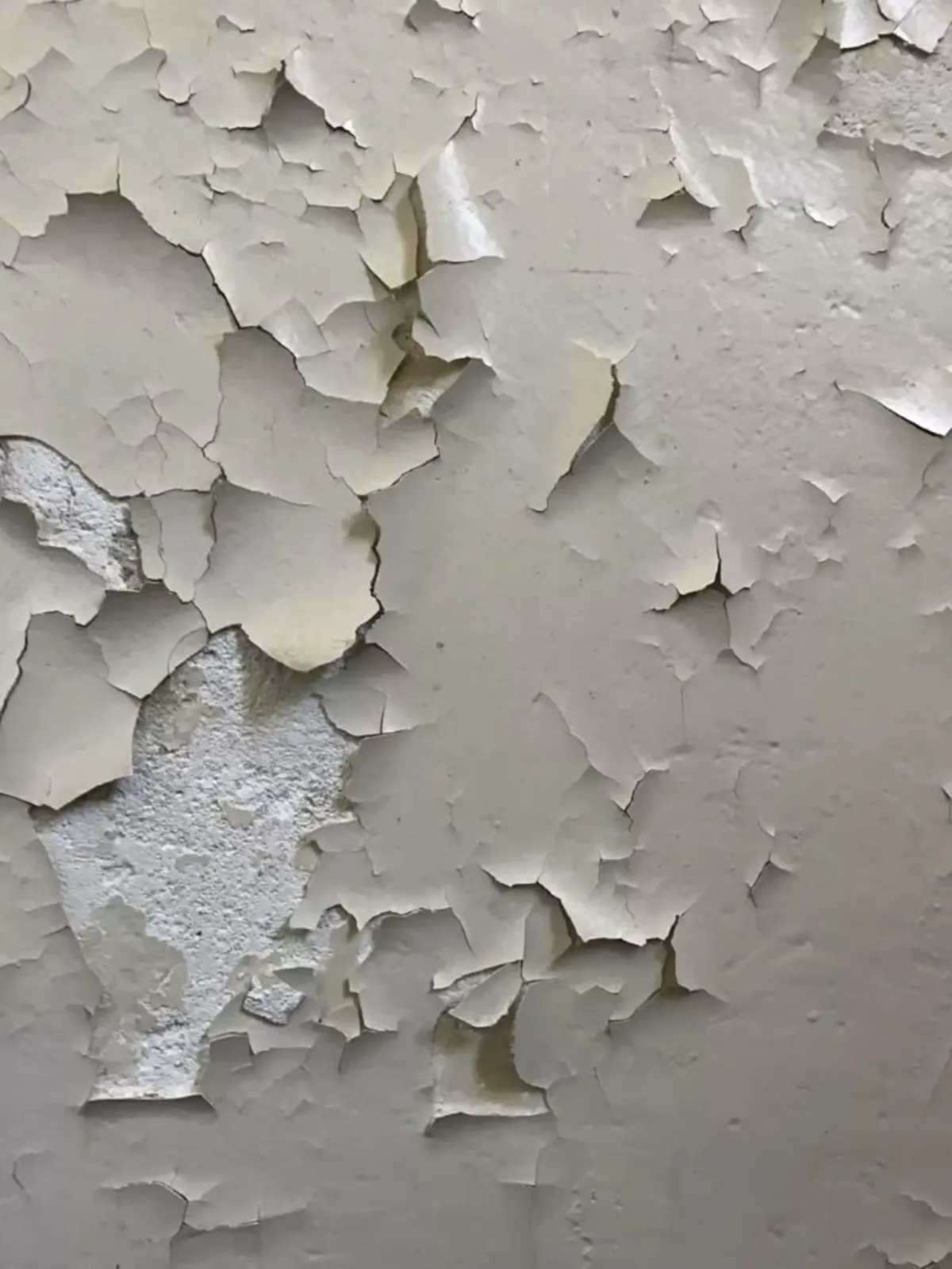 تصویری از گچ و رنگ پوسته پوسته شده به علت رطوبت دیوار